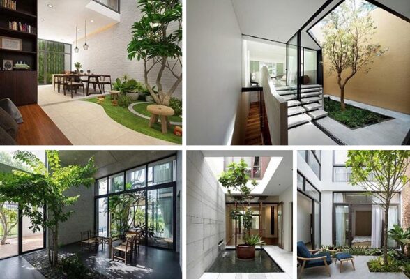 tong-quan-ve-tieu-canh-trong-nha-san-vuon-a-dong