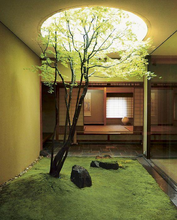 vuon-tieu-canh-trong-nha-9